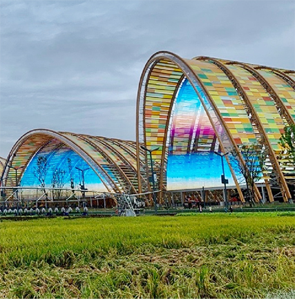 成都天府農博園LED格柵屏項目