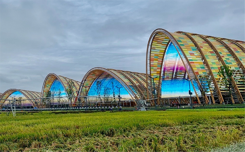 成都天府農(nóng)博園LED格柵屏項(xiàng)目